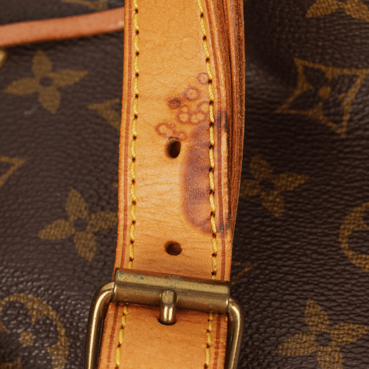 Louis Vuitton Noe Grande GM — fotografie 15