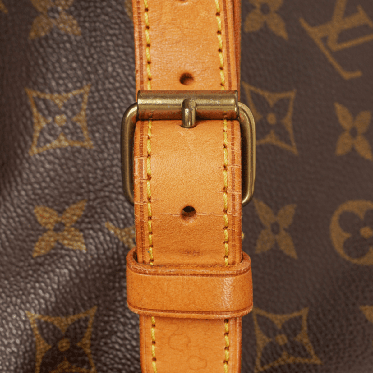 Louis Vuitton Noe Grande GM — fotografie 19