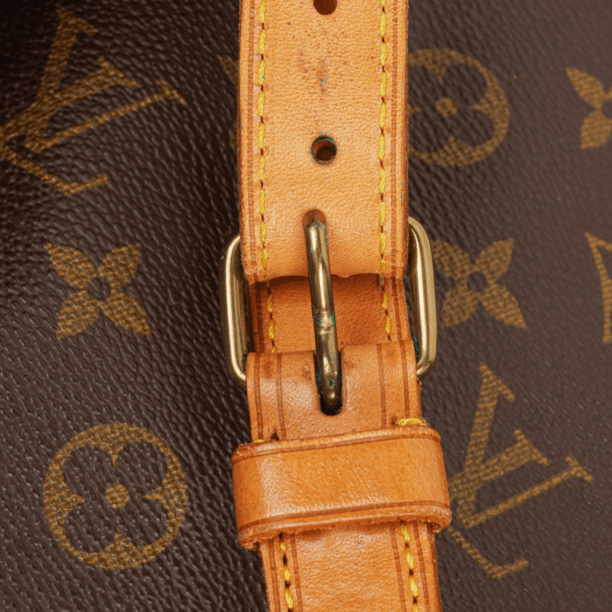 Louis Vuitton Noe Grande GM — fotografie 18